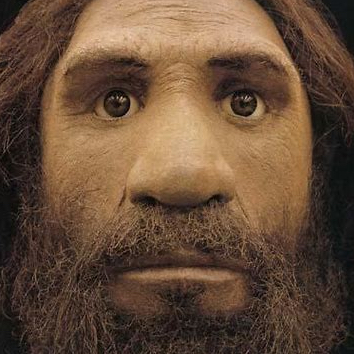 neanderthal face