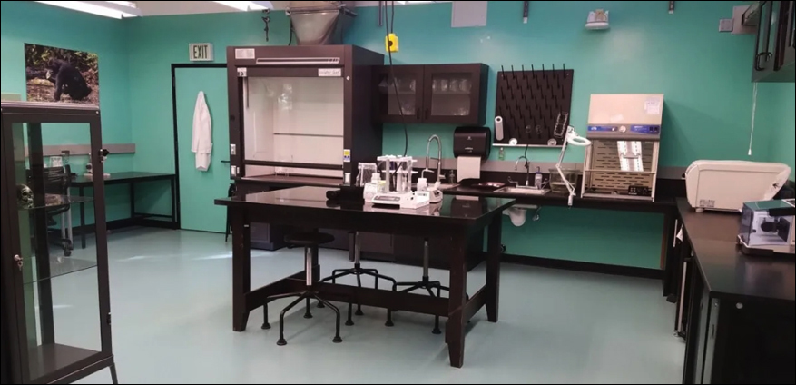 lab with equipment