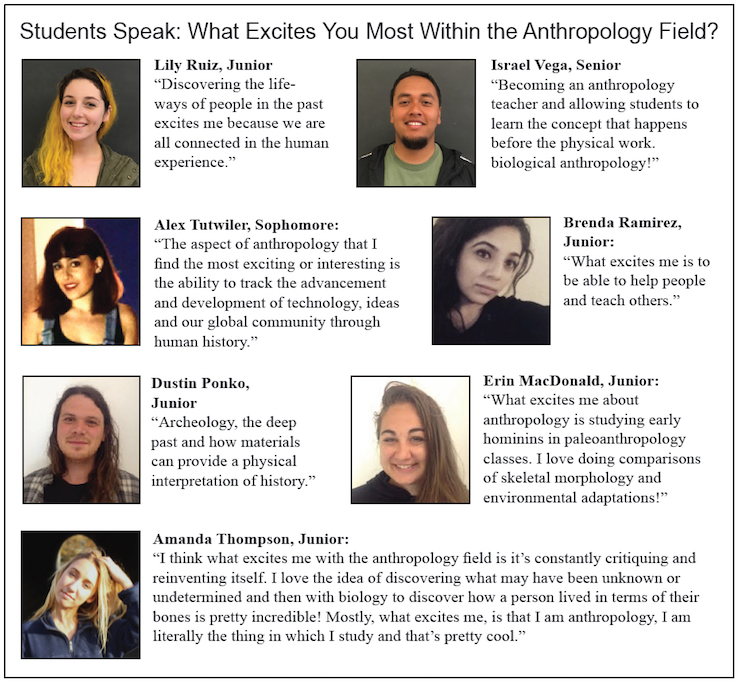 Students give opinions on what excites them most in anthropology